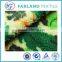 wool sherpa fabric knitted fabric changshu farland textile welcome to order