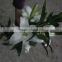 Alibaba china factory direct real touch latex flower lilies