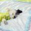 dog sleeping blanket /wholesale dog blanket /Air conditioning blanket