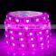SDSLED IP65 SMD5050 60LED/m Pink power led flexible strip light DC12V