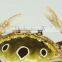 Customizing Pewter enamel crab jewelry box