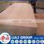 18mm bintangor plywood in sale