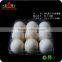 Factory Price wholesale Custom Trasparent Blister Plastic Egg Tray,Transparent PET Blister Egg Tray                        
                                                Quality Choice