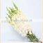 kunming supplier purple light color fresh cut flowers antirrhinum for newyear
