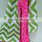 Personalized Green Chevron With Hot Pink Swirl Minky Baby Minky Blanket