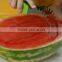 As Seen On TV Watermelon Slicer Corer Stainless Steel Fruit Peeler Faster Melon Cutter Smart Kitchen Gadget Slice right