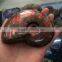 Natural rainbow ammonite fossils snail fossils specimen minerals