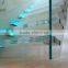 Safety Glass fencing/Tempered Laminated Glass for pool fence /glass railing