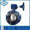 2 Inch Butterfly Valve