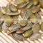 2016 New Crop Pumpkin Seed Grow Without Shell GWS Low Price