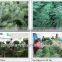 210cm Christmas Holiday Fiber Optic Christmas Trees