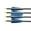 New Archery Aluminum Arrow Shafts Arrows With Plastic Vanes For Compound Bow