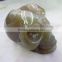 Rare Shinning Ball Geode Crystal Carving Skull good for home decoration or gift to friend