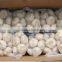 Chinese Pure White Garlic 2016 Crop