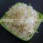 EXPORT QUALITY BEST ONION FLAKES WHITE