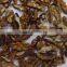 Alchemy walnut kernel for hot sale and with best price and Alchemy food for snack