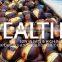 Chinese Roasted Chestnuts for Sale