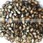 wholesale red melon seeds with big size natural color