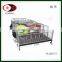 Pig Farming Equipment BMC Pig Farrowing Crates Sow Farrowing Pen