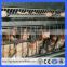 Algeria house for poultry chicken farm cage equipment layer battery cages (Guangzhou Factory)