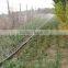 agriculture spraying water hose pipe