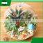 home goods decorative hanging slanted clear round glass decoration bonsai vase with metal stand
