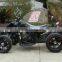 250cc Chain Drive Transmission ATV Racing ATV With EEC