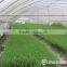 Professional Manufacturer High Quality Flat Rice Seedling Tray