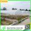 Quickly Delvery China Greenhouse for Commerical