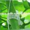Agricultural Clip Tomato Clip 25mm