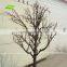 WTR023 GNW white 2m high artificial dry trees for window showcase decoration