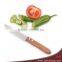 5" Mini Utility Fruit Stainless Steel Knife with Wooden Handle