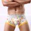 MGOO Hot Sale Cartoon Custom Print Underwear High Quality Bvd Underwear Tee Boys In Boxer MB023