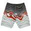 2018 welcome transfer print board shorts