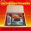 CE Passed 6 Cues/ Channes Remote Wireless Fireworks Firing System + 20 Pcs Igniters for Consumer Fireworks Display +150 M Remote