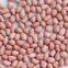 chinese peanut kernels
