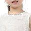 Long Lace Dress Girl Dress Children Clothes