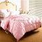 Mute Warm Thickened Goose/Duck Down Quilt