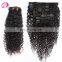 Clip in Human Hair Extensions Kinky Curl Mongolian Kinky Curly Hair