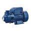 QB70 0.75HP Peripheral Pump