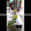 Industrial Stainless Steel Electric Automatic fruit and vegetable peeling machine/fruit peeler