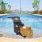Professional Wholesale Swimming Pool Equipment 1.5HP High Pressure Pool Water Pump