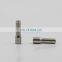 Diesel Common Rail Injector Filter CW095420-0260 CW0954200260