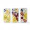 Natural real fruit phone case for iphone mobile cover