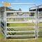 Australia cattle farm equipment cheap cattle panels for sale