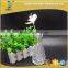150ml Diffuser Glass Bottle With Vase Shape