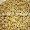 Top Quality Chinese Ginko Nut IQF Frozen Ginkgo Nut