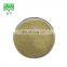 free sample Pure peanut skin Luteolin 98% powder
