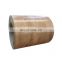 bis 60 grade red blue green white wooden color coated steel coil ppgi galvanized coil metal steel sheet coil for roofing sheet