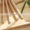 China Produces Eco-friendly Biodegradable Eco-friendly Bamboo Straws